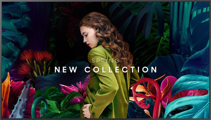 Image du produit Samsung QB75C (3840 x 2160 pixels, 75")