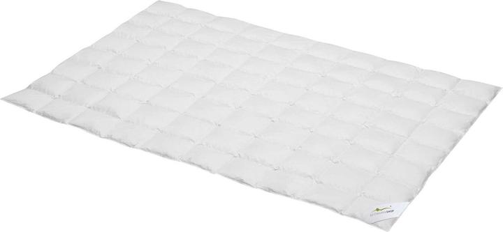 BettwarenShop Premium light (280 g, 155 x 200 cm)