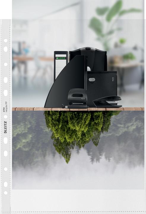 Produktbild Leitz Recycle Zeigetaschen (A4, 100x)