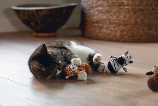 Immagine prodotto Beeztees Dschungel Wobbler (Gatto di peluche)