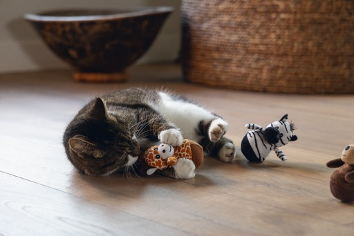 Productafbeelding Beeztees Dschungel Wobbler (Pluche speelgoed kat)