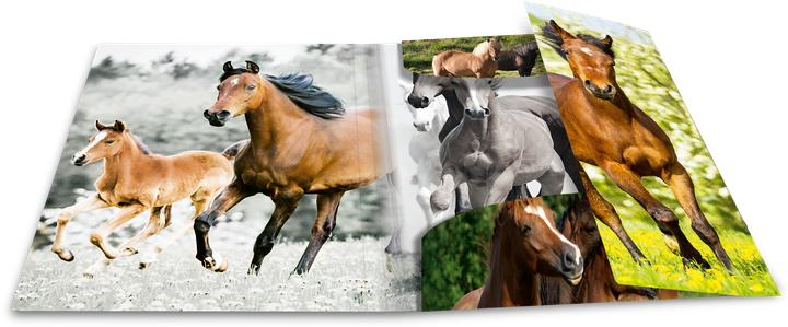 Produktbild HERMA Sammelmappe A3 Motiv (A3, 1x)