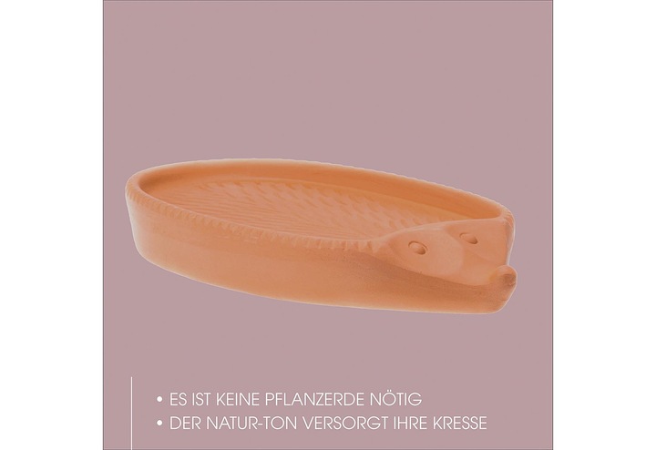 Image du produit Römertopf Hérisson à cresson