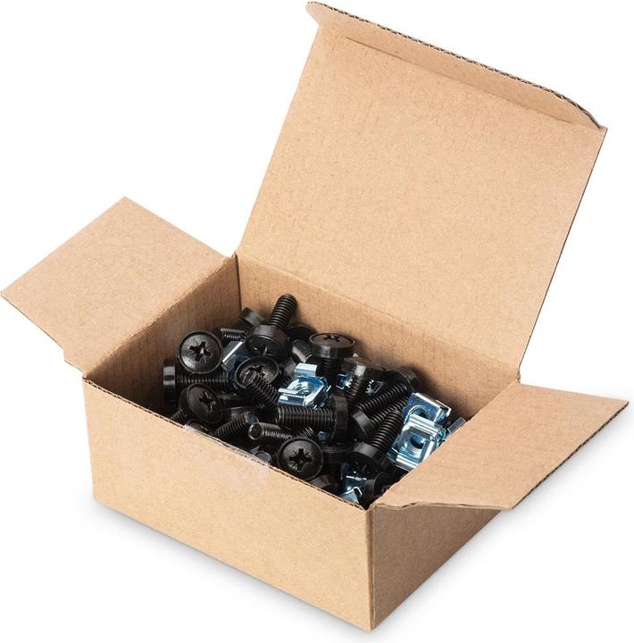 Actual product image Digitus DN-19 SET screw set, size M6 for 19" cabinets