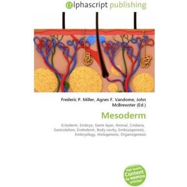 Mesoderm, Fachbücher von Agnes F. Vandome, Frederic P. Miller, John McBrewster