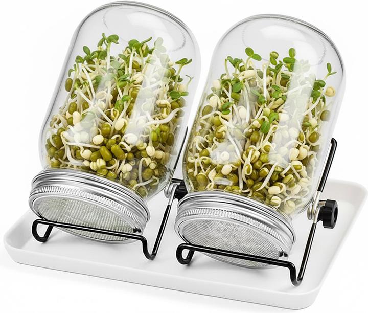 Relaxdays Sprossenglas