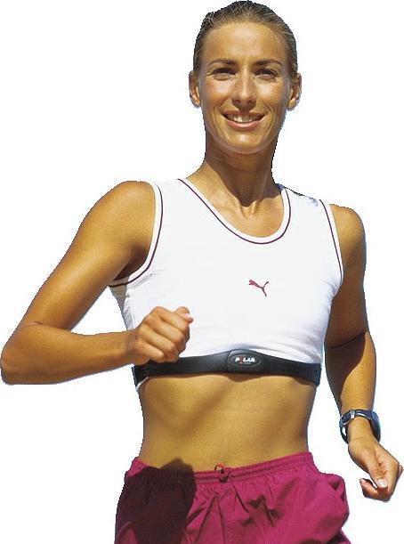 Productafbeelding Polar Elast aan zenderband T31/T61M