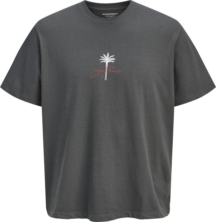 Jack & Jones Jorbradley Goldengate Tee Ss C.N Stmss25 (S)