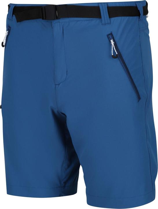 Actual product image Regatta Mens Xert III Stretch Shorts (44)