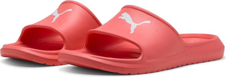 Produktbild Puma Divecat v2 Lite Cat (40.5)