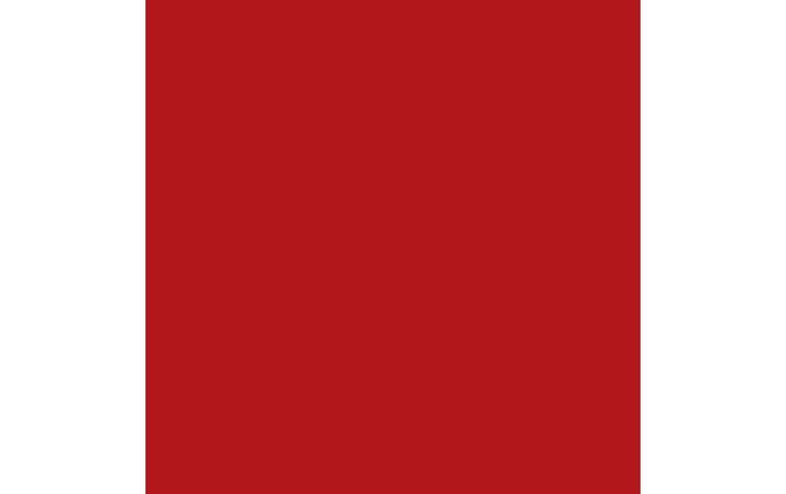 Produktbild Amsterdam Acrylfarbe Standard Series 399 (Naphtholrot Dunkel, 120 ml)