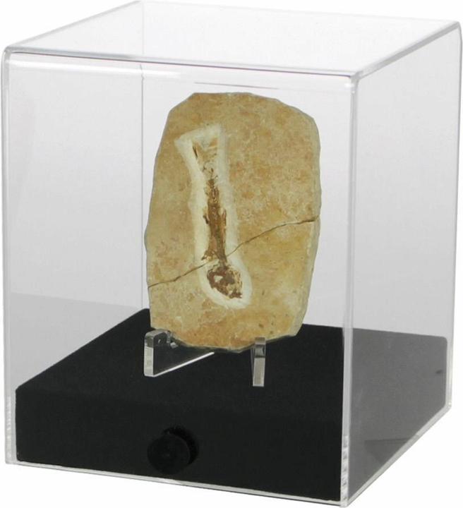 Immagine prodotto Safe Cubo espositivo in acrilico 12 x 12 x 14 cm