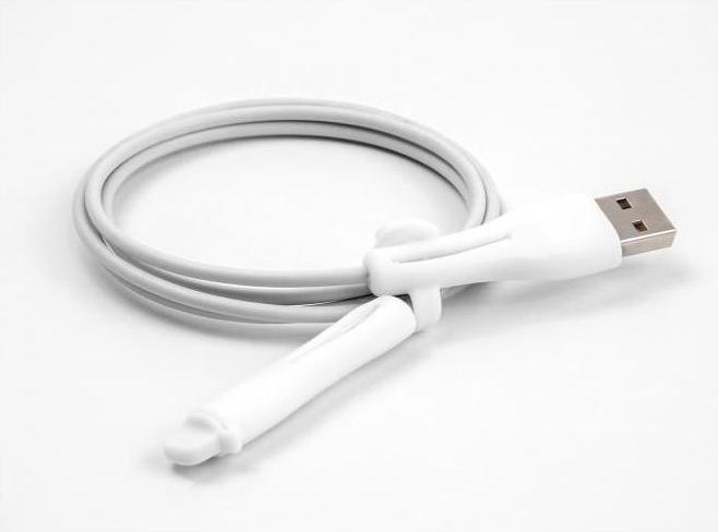 Actual product image Delock Dust cover for USB Type-A plug and Apple Lightning™ plug set 2 pieces white (Plugs and connectors)