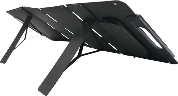 Actual product image Segway-Ninebot SP100 (100 W, 5.20 kg)