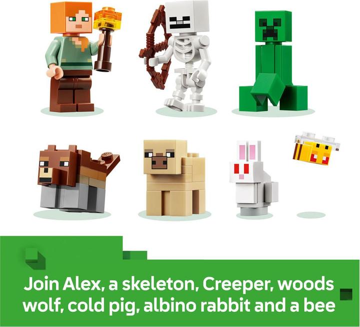 Produktbild LEGO Erstes Abenteuer in der Nacht (21593, LEGO Minecraft)
