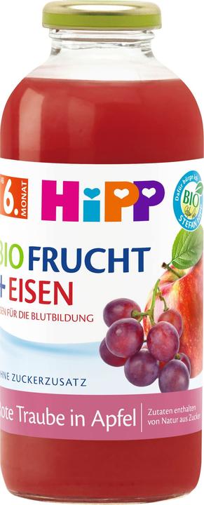 Hipp Bio Fruchtsaft ab 6. Monat (1 x 50 cl)