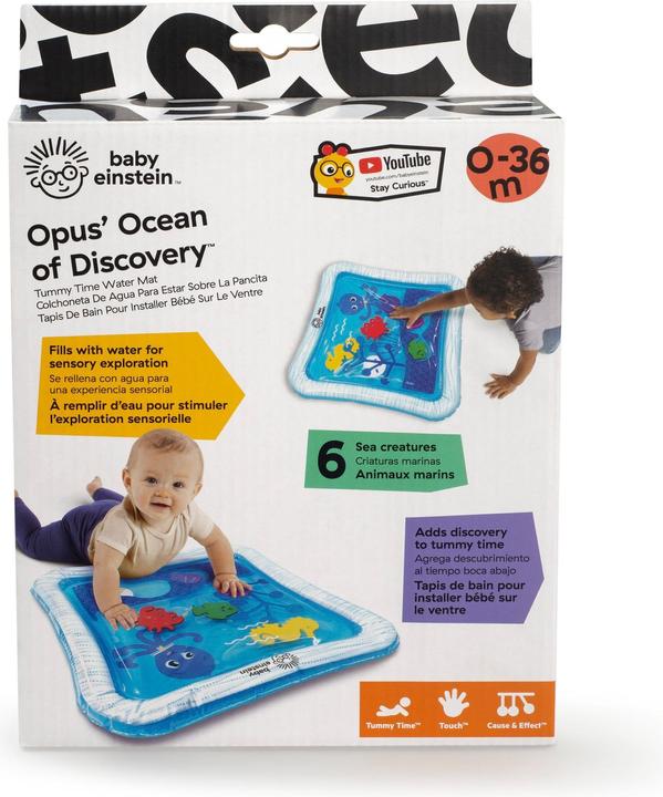 Actual product image Baby Einstein Opus’s Ocean of Discovery
