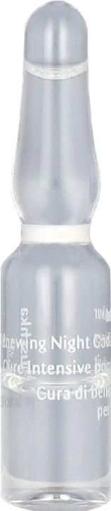 Actual product image Dr. Hauschka Night Cure (50 ml)