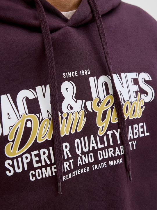 Actual product image Jack & Jones JJELOGO SWEAT HOOD 2 COL 25/26 NOOS (XXL)