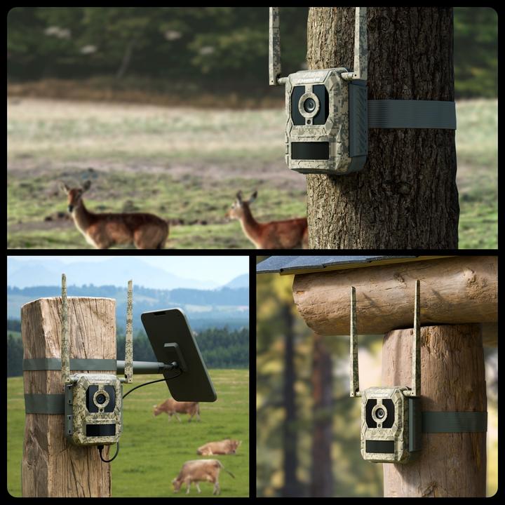 Actual product image Reolink Camovue Talon Pro wildlife camera