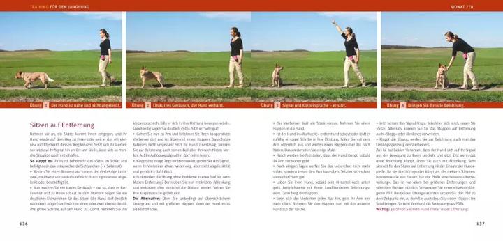 Produktbild Welpen-Erziehung (Deutsch, Katharina Schlegl-Kofler, 2010)