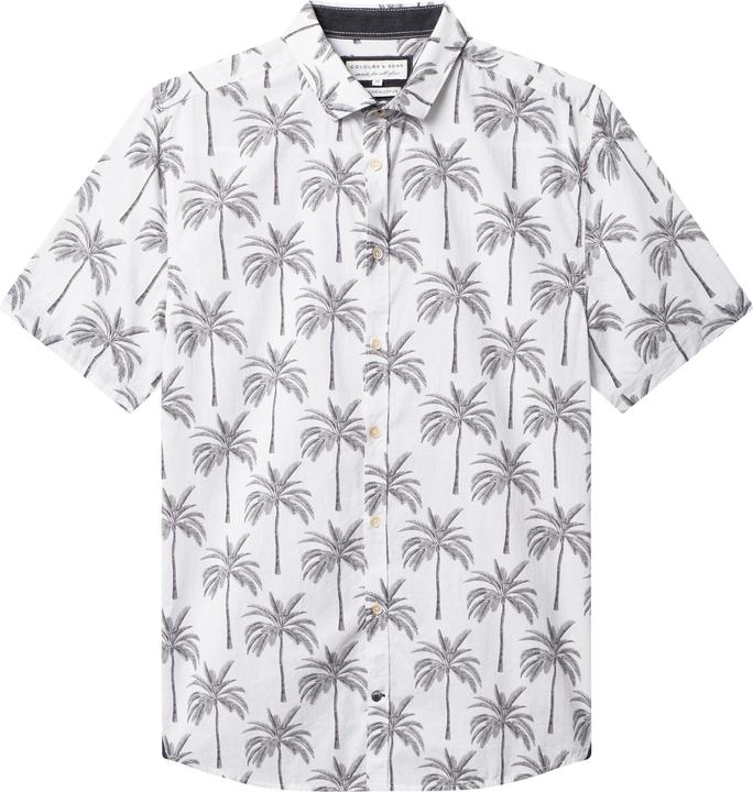 Palms