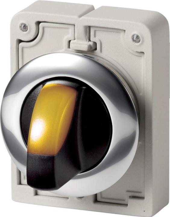 Actual product image Eaton Illuminated selector button RMQ-Titan