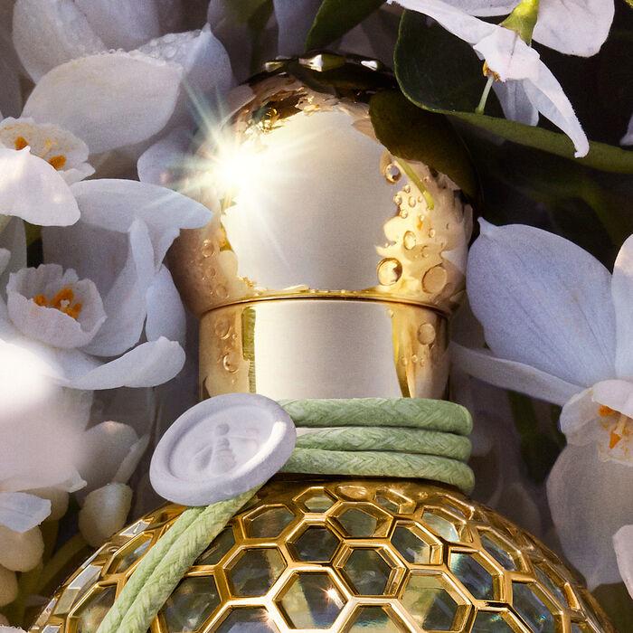 Produktbild Guerlain AQUA 23 Nerolia Vetiver Harvestvest Eau de Toilette 125 ml (Eau de Toilette, 125 ml)
