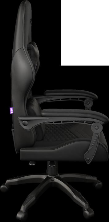 Actual product image Fury Computer chairs / desks Genesis Shinai S4 Gaming chair, Black