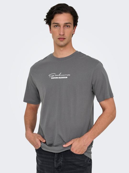 Produktbild Only & Sons Onskeane Rlx Ss Print Tee Noos (S)