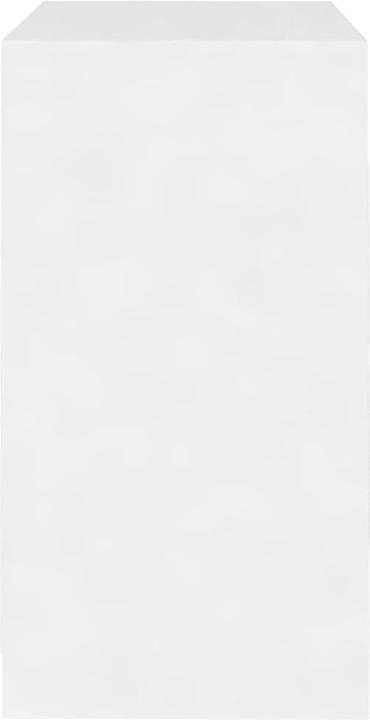 Image du produit vidaXL Sideboard (40 x 70 x 75 cm)