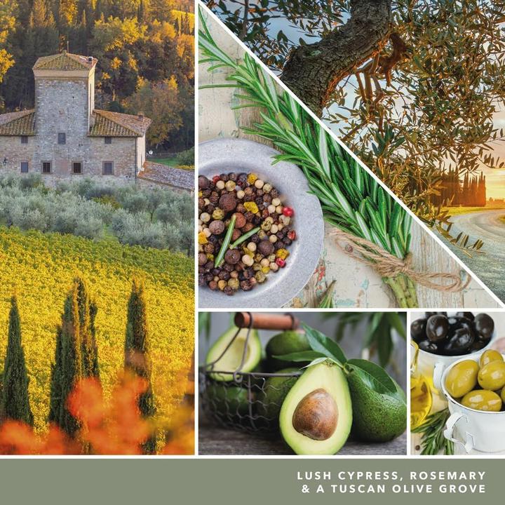 Produktbild Yankee Candle Olive & Cypress