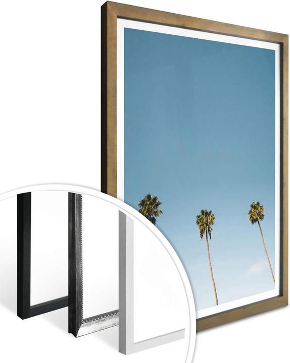 Produktbild Trenddeko Palmen 02 (60 x 80 cm)
