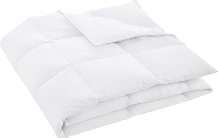 Image du produit Balette Duvet mit Primaloft Bio (1250 g, 200 x 210 cm)