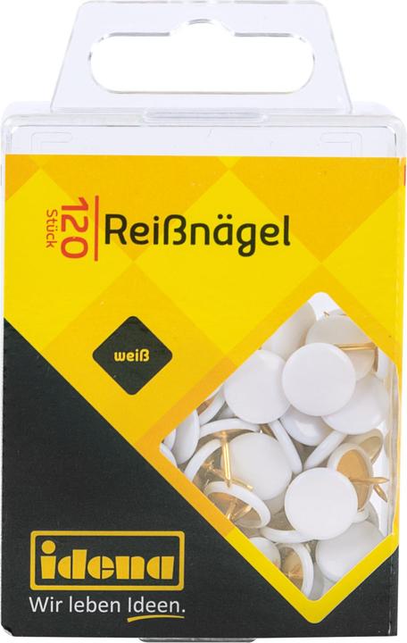Actual product image Idena Drawing pins white 120 pieces (120 pcs., 20 mm)