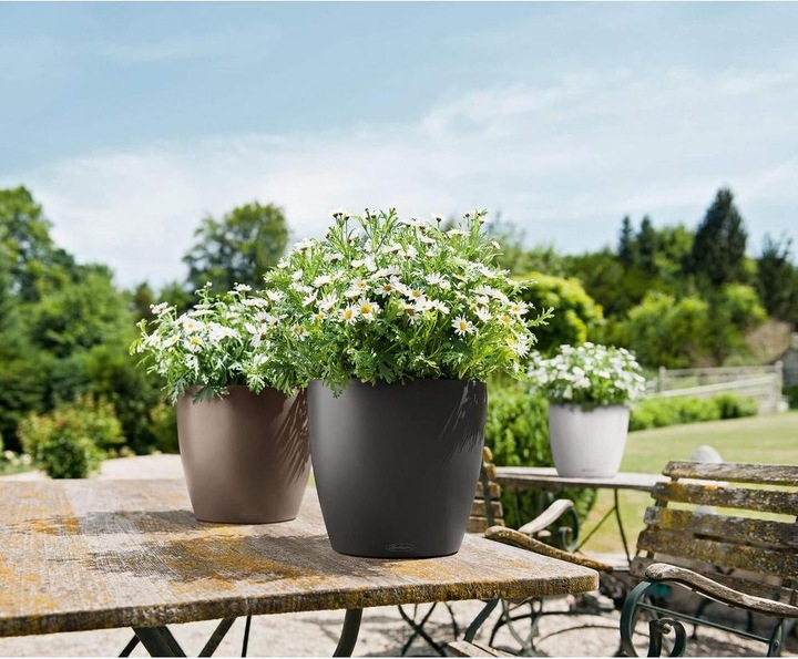 Actual product image Lechuza Classico Color (27.50 cm)