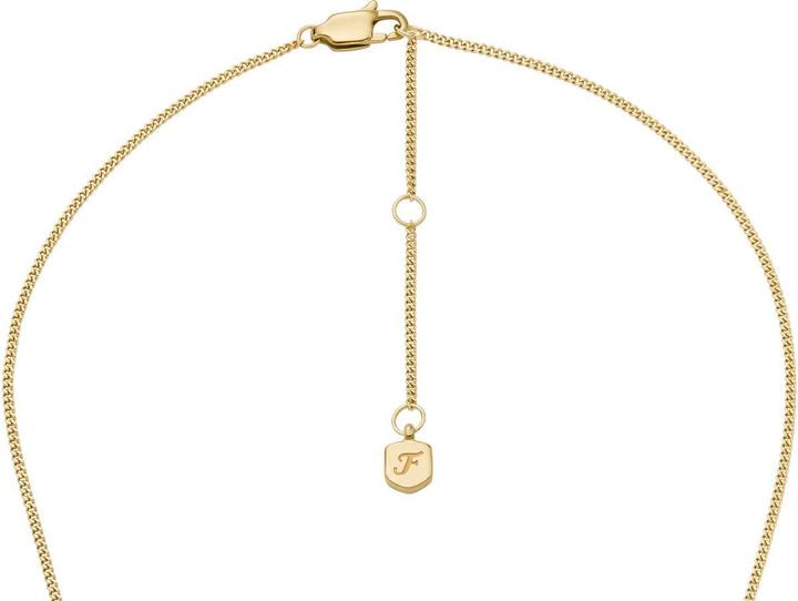 Image du produit Fossil JF04951710 Collier (Acier inoxydable)