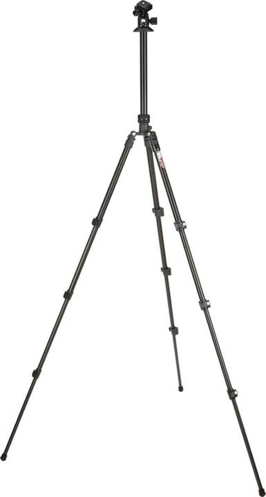 Actual product image 3 Legged Thing Punks Patti 2.0 & AirHed Darkness (Metal)