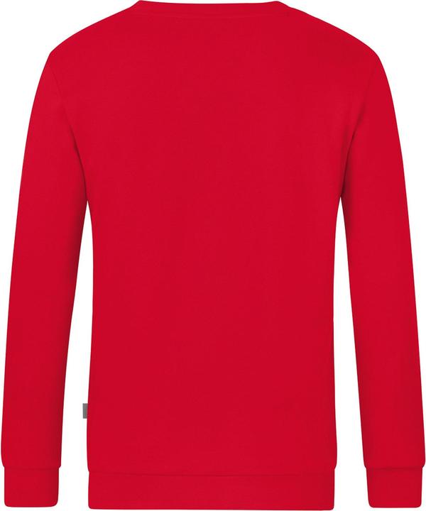 Immagine prodotto JAKO Sudore organico (L)