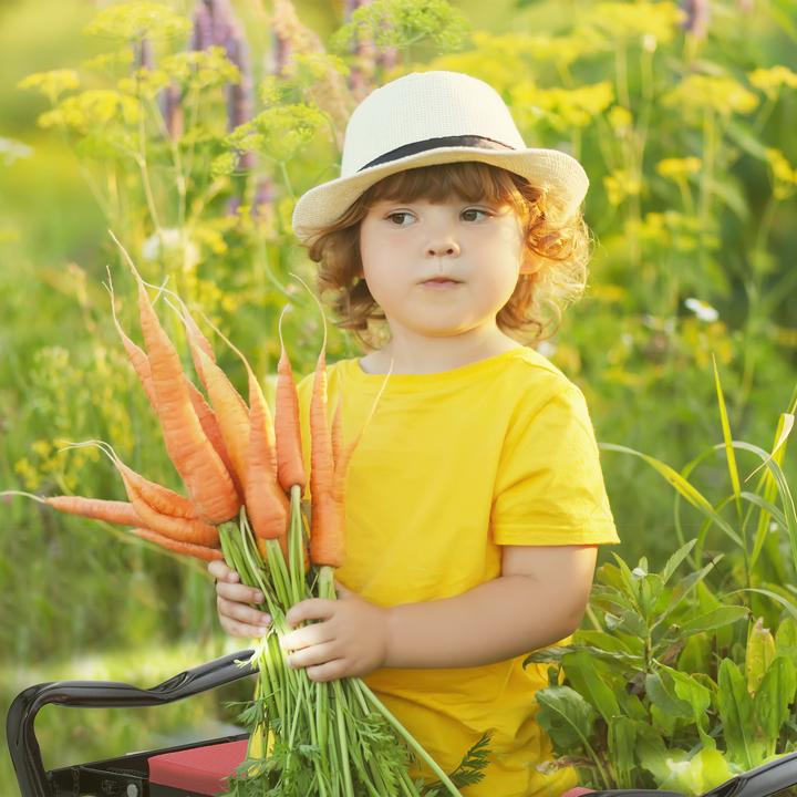 Actual product image Relaxdays Knee bench