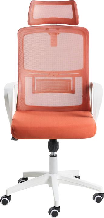 Immagine prodotto Beliani Monarch (35 - 45 cm)