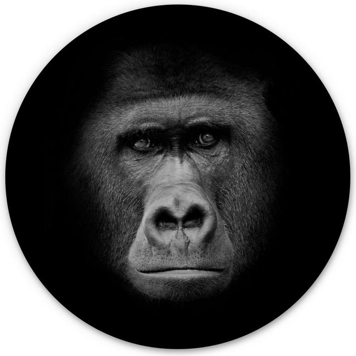 Produktbild Trenddeko Gorilla (45 x 45 cm)