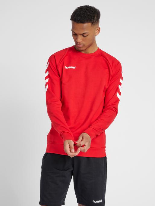 Produktbild hummel Go Cotton Sweatshirt (S)
