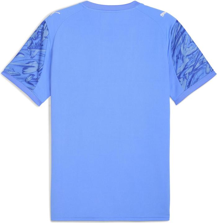 Produktbild Puma GK Jersey Replica SS (S)