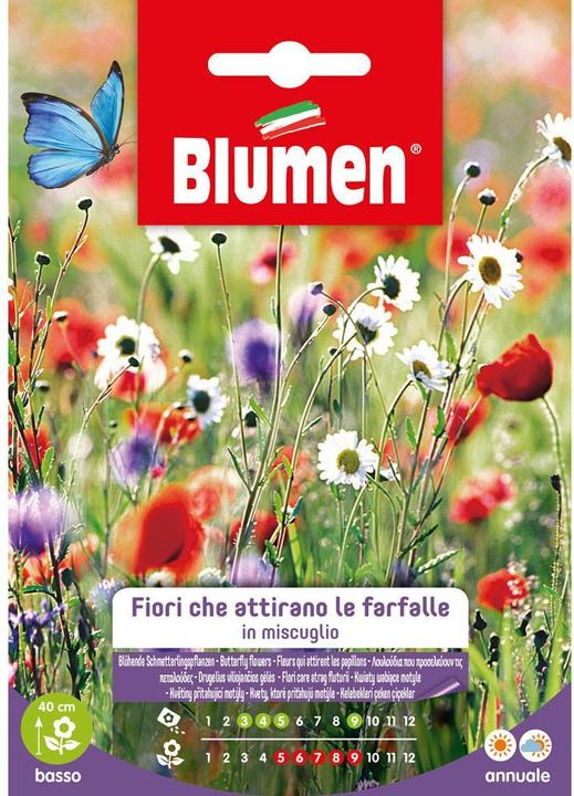Produktbild Blumen Saatgut Blühende Schmetterlingspflanzen