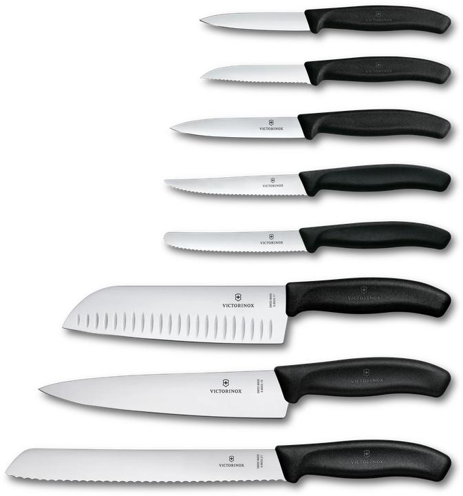 Actual product image Victorinox Swiss Classic Cutlery Block, 8 Pieces