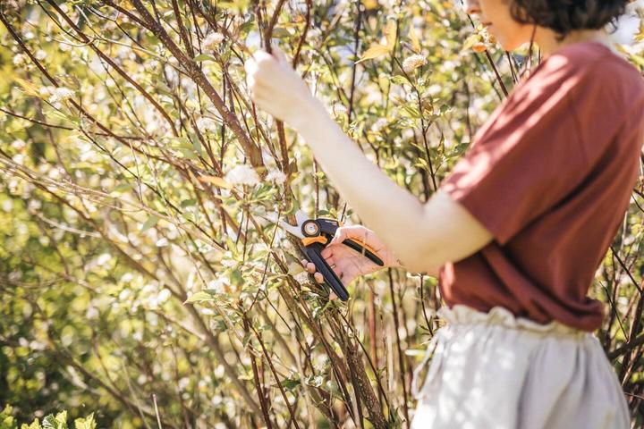 Image du produit Fiskars M P921 Sécateur de branches en dérivation /Orange