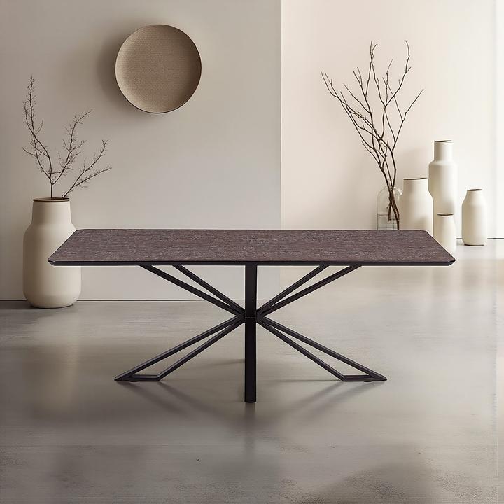 Immagine prodotto Homestyle4u Esstisch (200 x 100 x 76 cm)