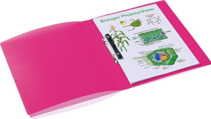 Actual product image HERMA A4 ring binder translucent (A4, 25 mm, 1 pcs.)
