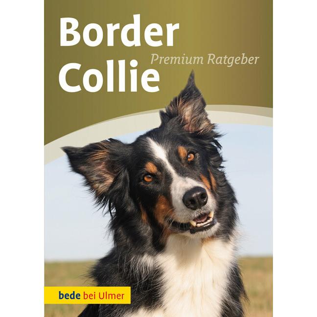 Border Collie, Ratgeber von Annette Schmitt